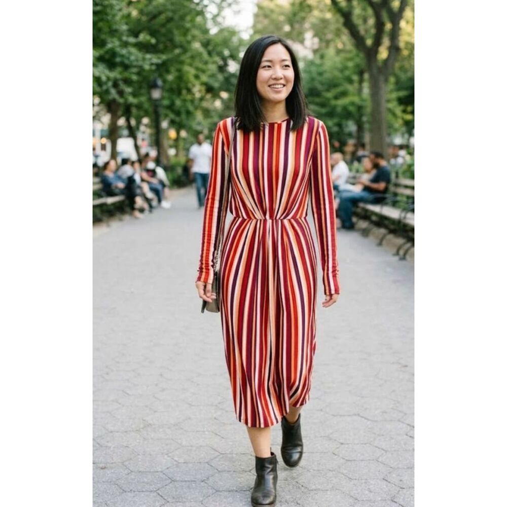 Zara Striped Retro Mesh Cinch Waist Long Sleeve Midi Dress Women's Size Small